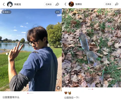 公园里面有什么 09.25 的物料截图