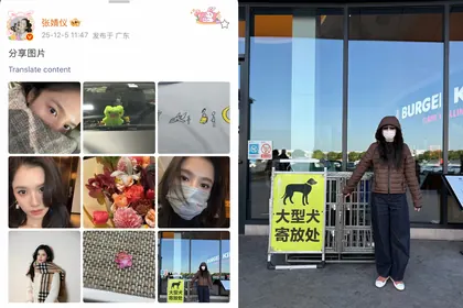 大狗狗？是狼 12.05 的物料截图